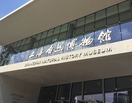 上海自然博物馆-上海虹际通风设备有限公司